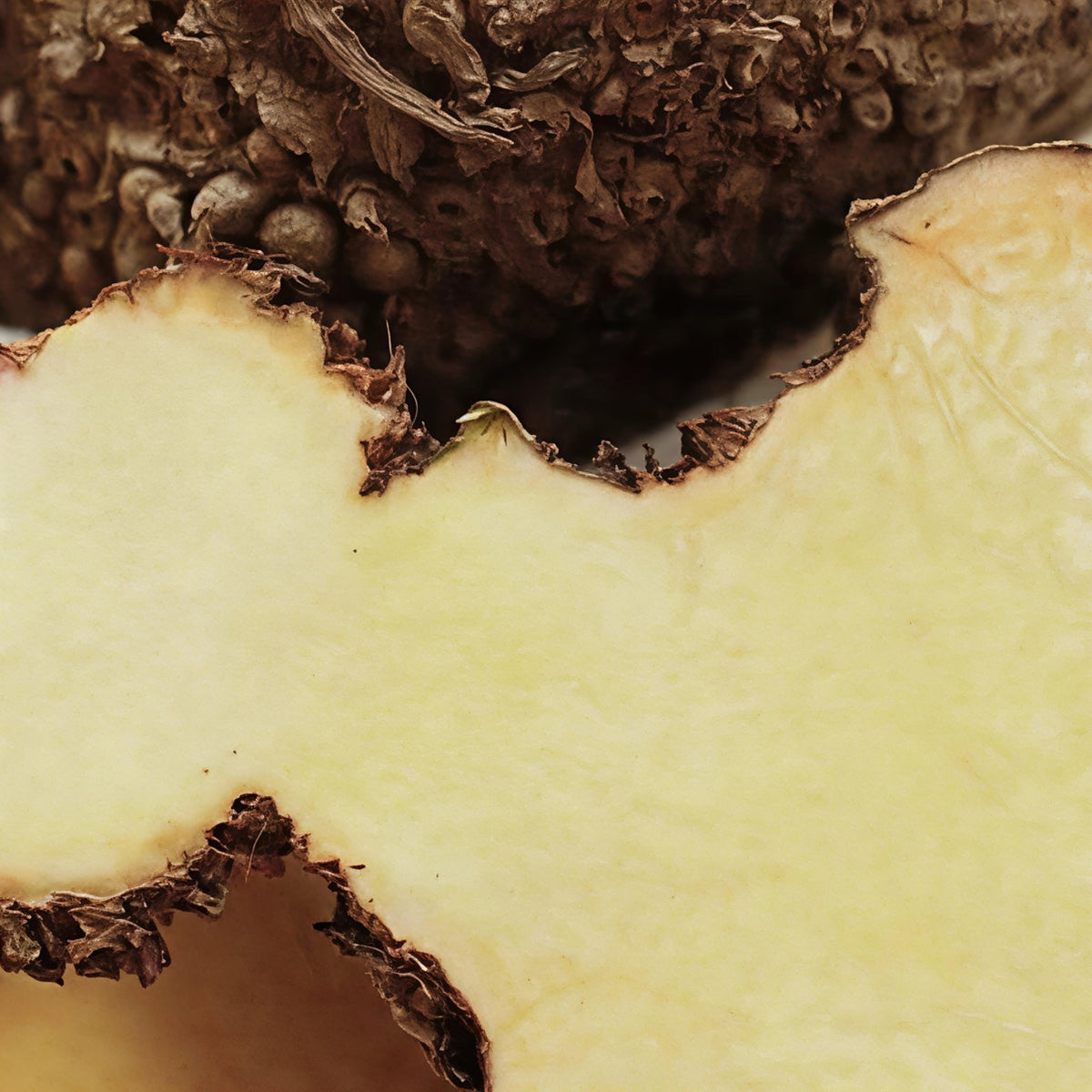 Makroaufnahme der goldbraunen Struktur einer aufgeschnittenen Ananas.