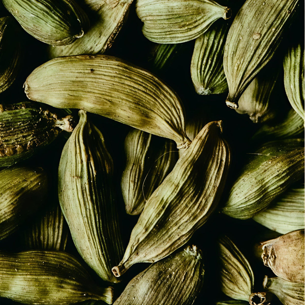 Makroaufnahme grüner Kardamomkapseln und botanischer Blätter.